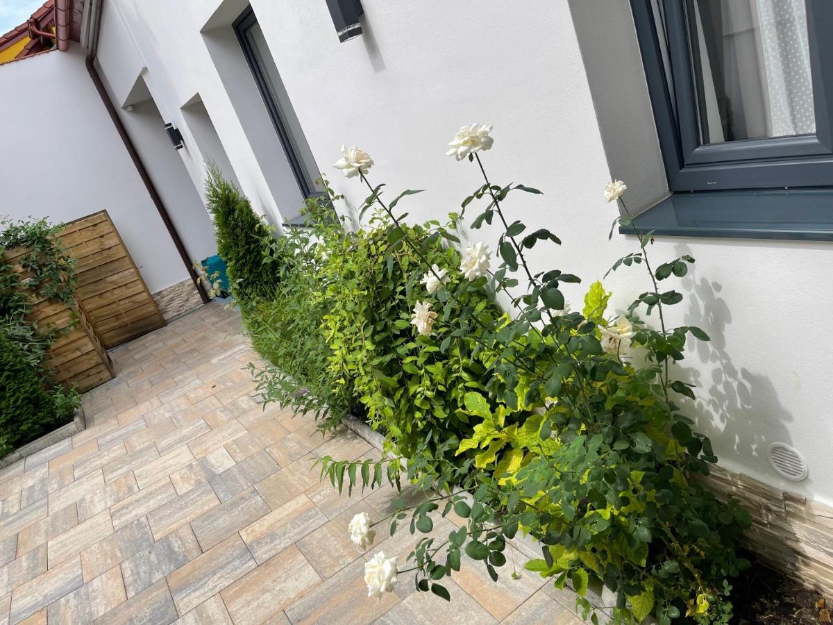 Mani Studio Sibiu Exteriér fotografie
